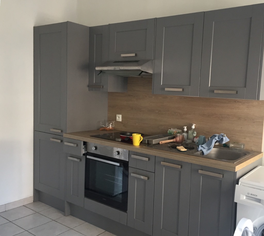 Appartement 2 chambres proche metro et euratechnologies Photo 3 - JLW Immobilier Appartement 2 chambres proche metro et euratechnologies Photo 3 - JLW Immobilier