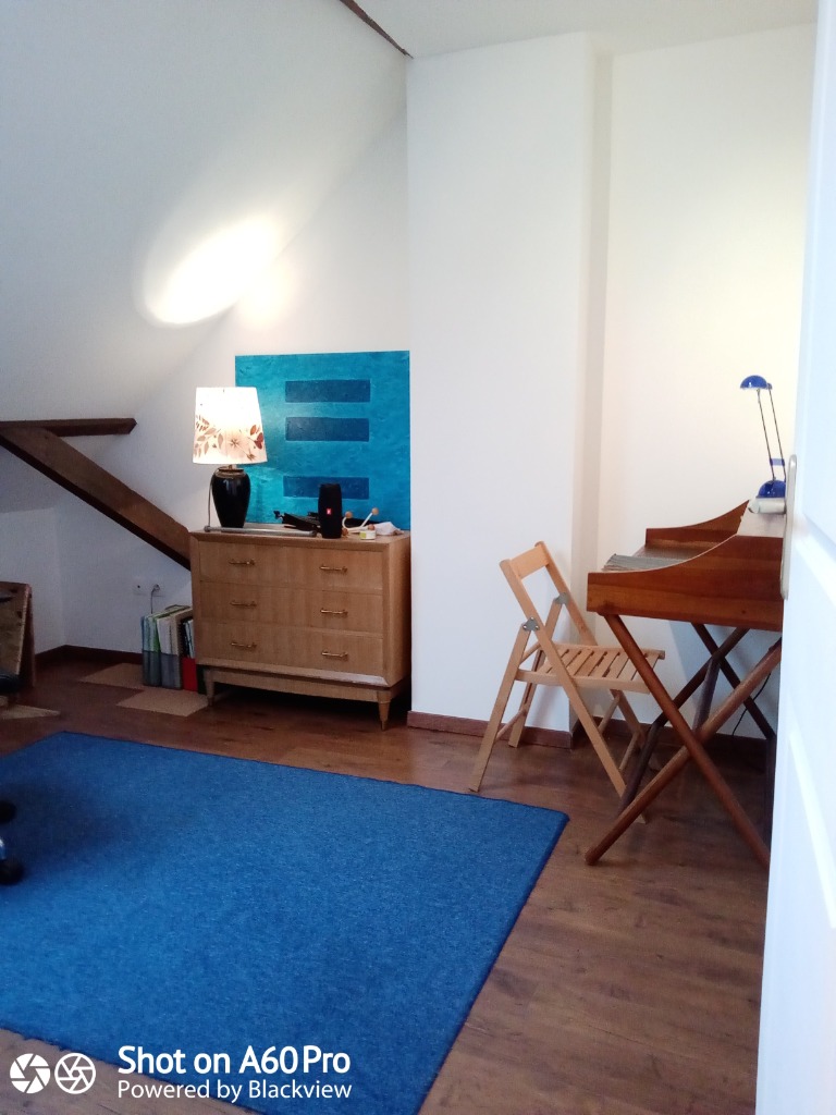 Duplex 3 chambres quartier gambetta  Photo 3 - JLW Immobilier