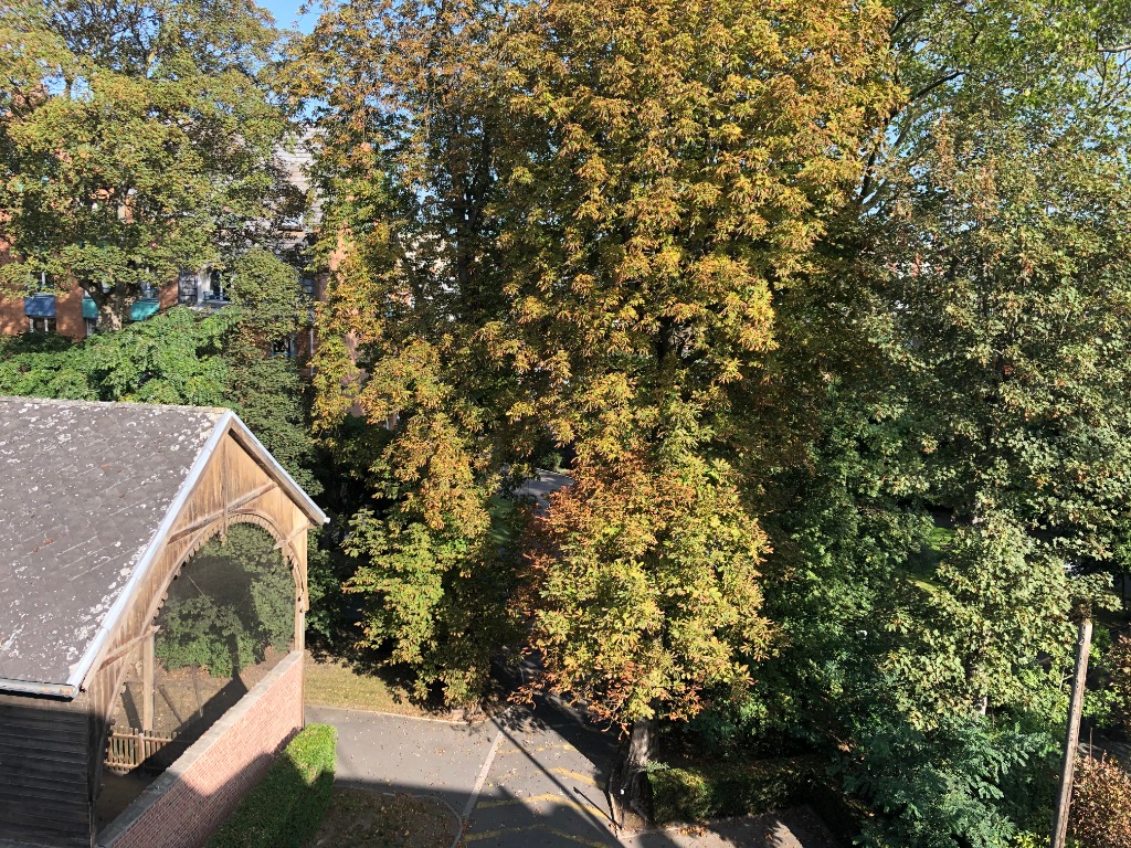 T2 traversant coup de coeur gambetta  Photo 5 - JLW Immobilier