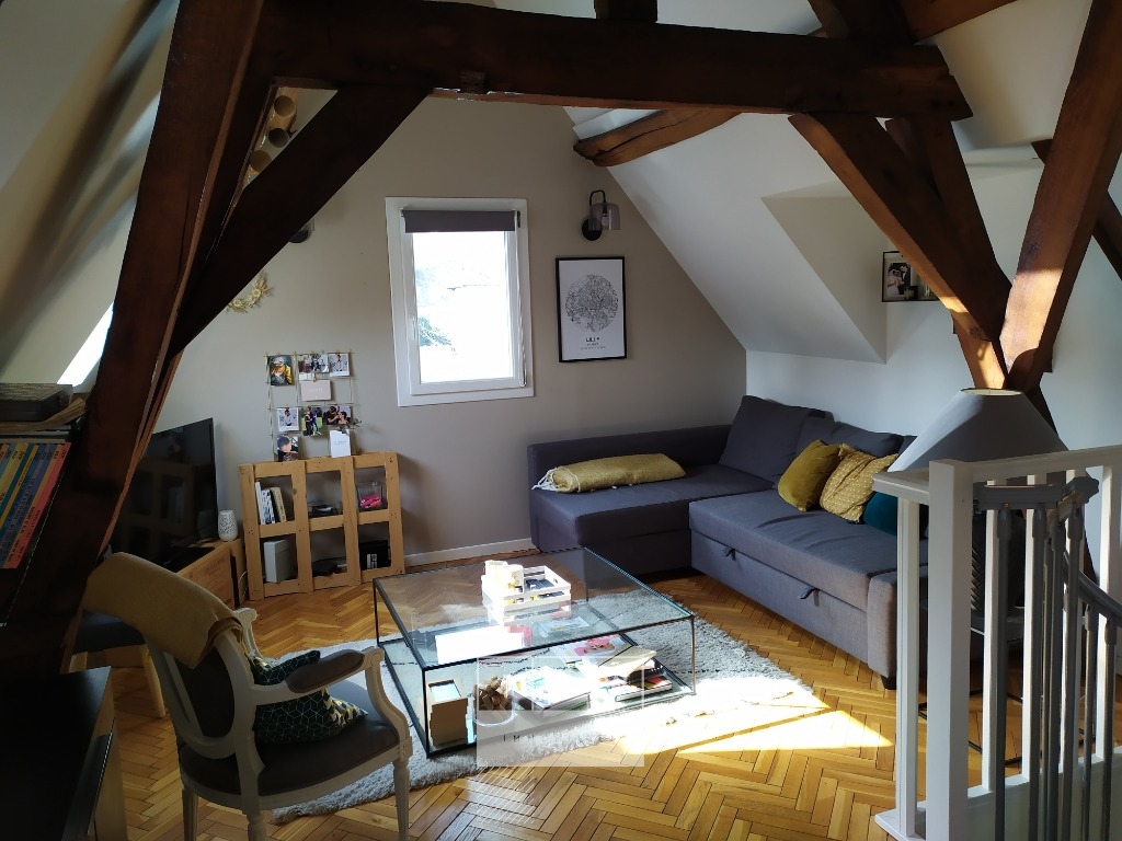 Xok sr123 t1bis vieux lille duplex meuble Photo 1 - JLW Immobilier Xok sr123 t1bis vieux lille duplex meuble Photo 1 - JLW Immobilier