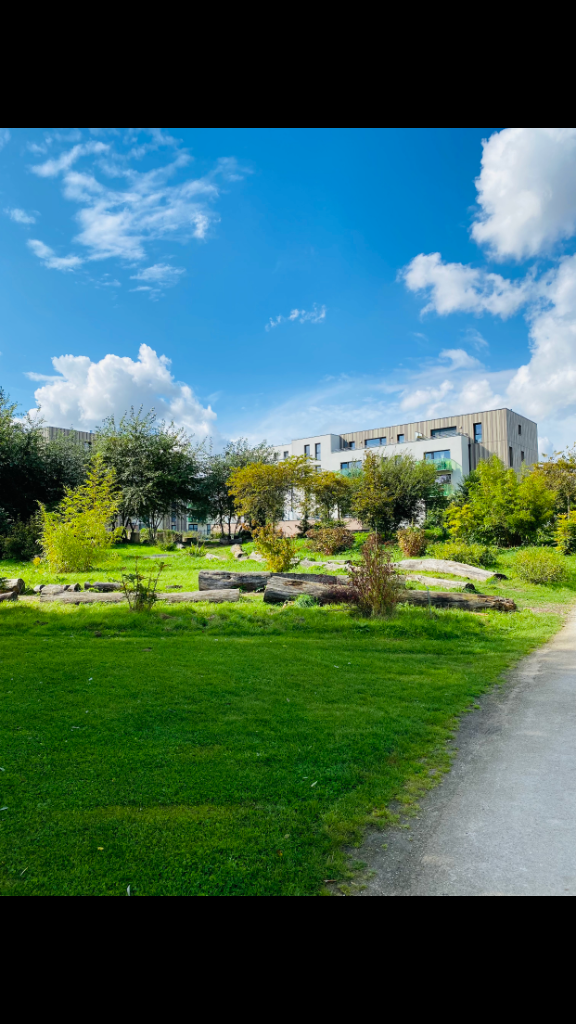 Superbe appartement traversant 3 chambres avec terrasse Photo 4 - JLW Immobilier Superbe appartement traversant 3 chambres avec terrasse Photo 4 - JLW Immobilier