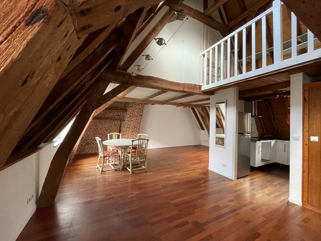 Zro sr123 lille centre duplex grand t1bis Photo 1 - JLW Immobilier Zro sr123 lille centre duplex grand t1bis Photo 1 - JLW Immobilier
