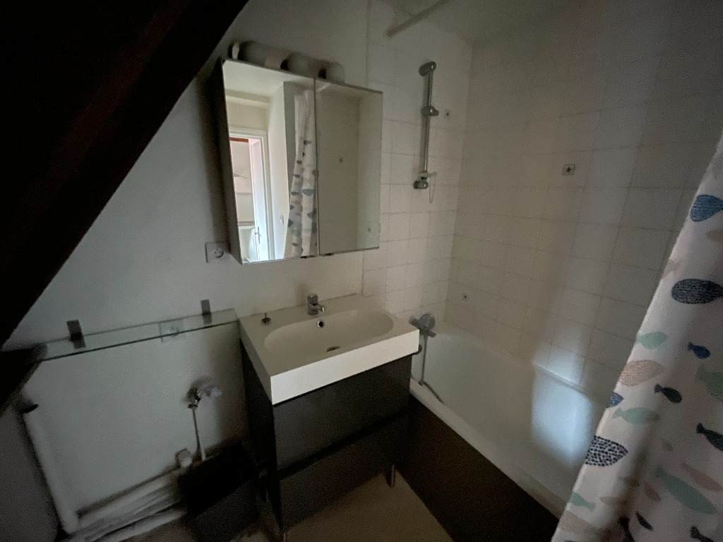 Zro sr123 lille centre duplex grand t1bis Photo 10 - JLW Immobilier Zro sr123 lille centre duplex grand t1bis Photo 10 - JLW Immobilier