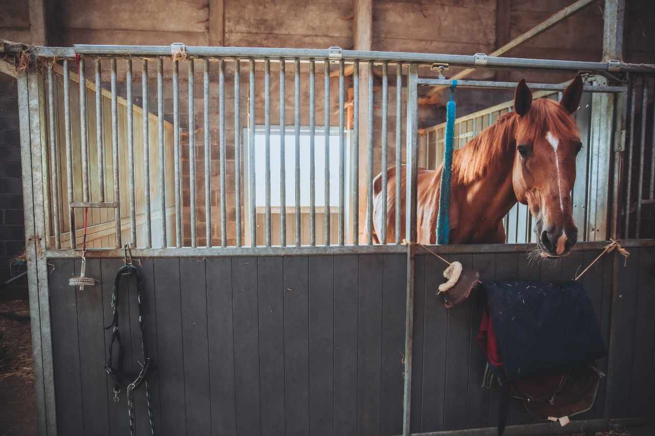 Maison 2017 ferme avec terrain Photo 9 - JLW Immobilier