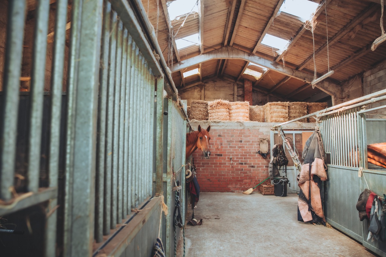 Maison 2017 ferme avec terrain Photo 10 - JLW Immobilier