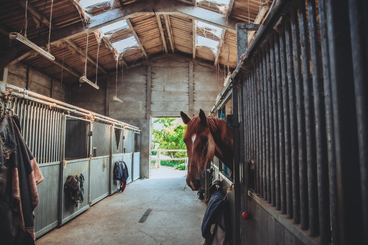 Maison 2017 ferme avec terrain Photo 11 - JLW Immobilier