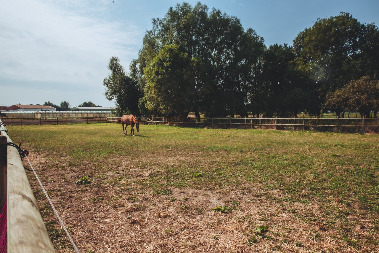 Maison 2017 ferme avec terrain Photo 15 - JLW Immobilier