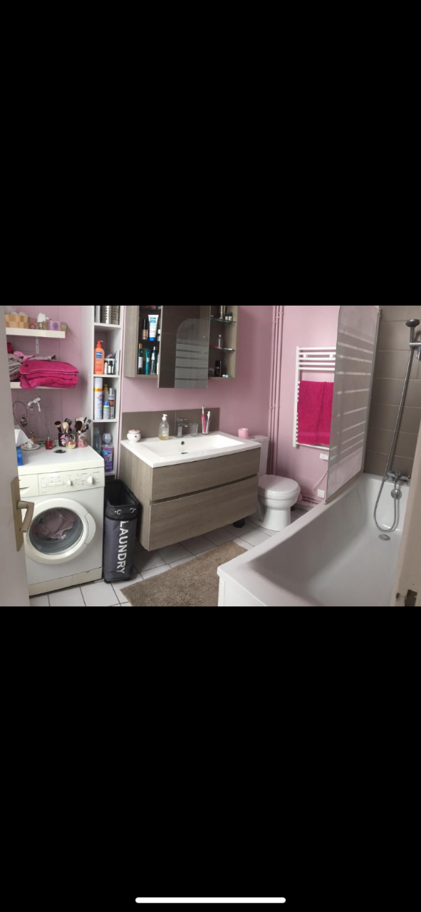 Ajxb jm63 lille republique t2 meuble en duplex 42 m Photo 6 - JLW Immobilier Ajxb jm63 lille republique t2 meuble en duplex 42 m Photo 6 - JLW Immobilier
