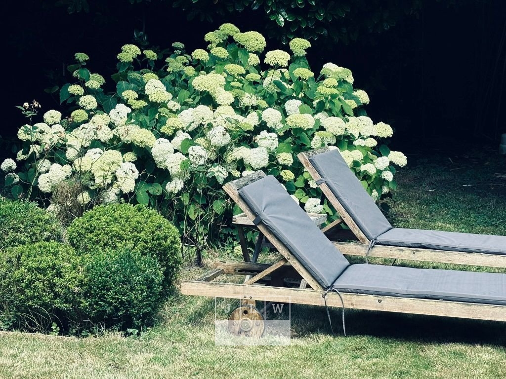 Aqzd ip285 coliving haut de gamme suite gambetta Photo 14 - JLW Immobilier