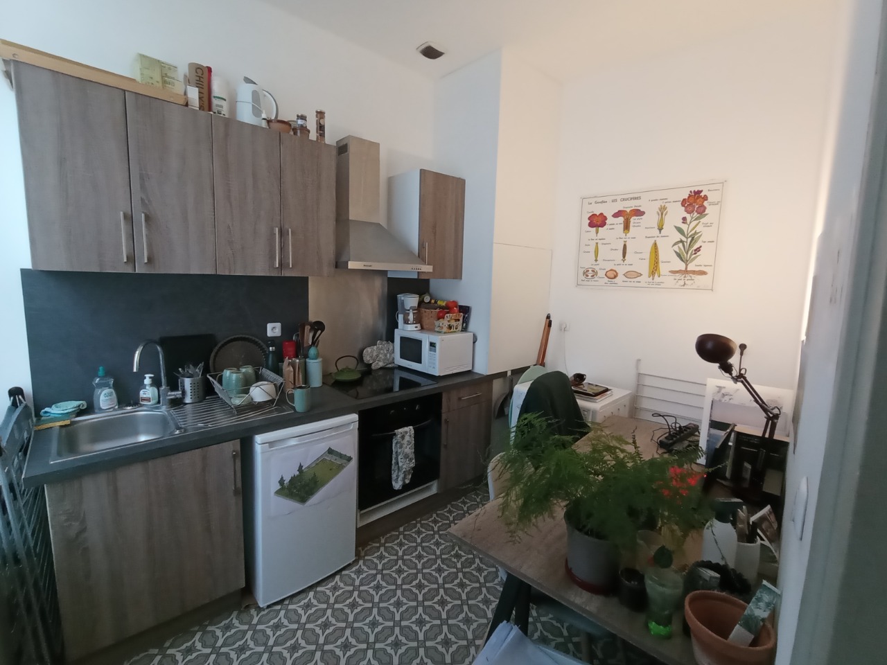 Mise en vente lille centre studio non meuble de 33m Photo 6 - JLW Immobilier Mise en vente lille centre studio non meuble de 33m Photo 6 - JLW Immobilier