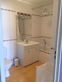 Jpi ll152 appartement lille 1 piece 30 m2 meuble Photo 5 - JLW Immobilier Jpi ll152 appartement lille 1 piece 30 m2 meuble Photo 5 - JLW Immobilier